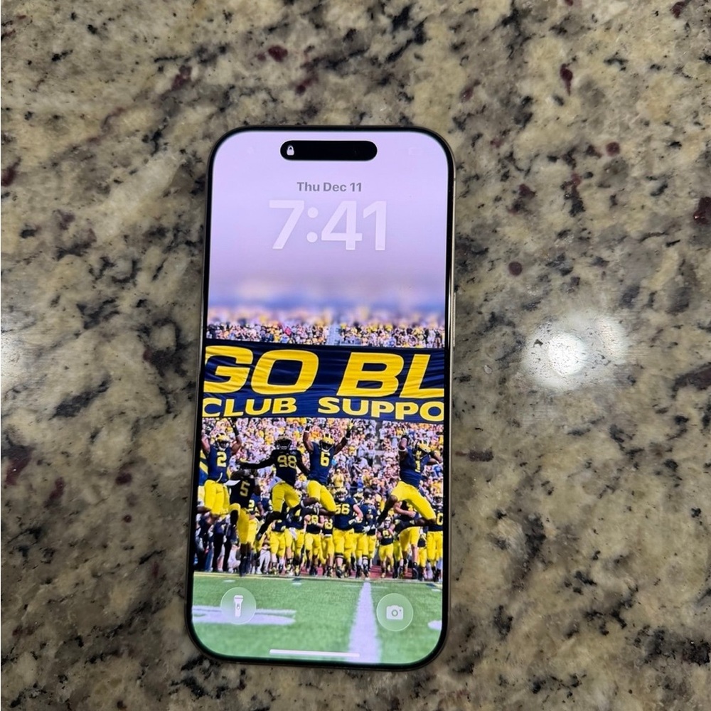 iPhone 16 Pro 256gb